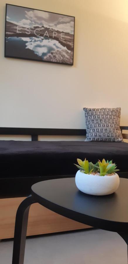 Grenoble Hyper-Centre + Wifi + Netflix Apartment Luaran gambar